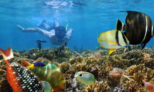 snorkeling-nosybe-3-1